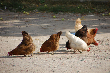 Similar image 1041541