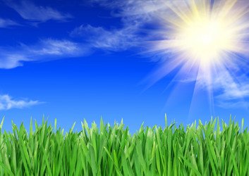 Similar image 1041551