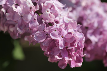 Similar image 1041574