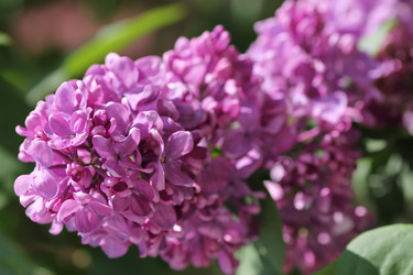 Similar image 1041578