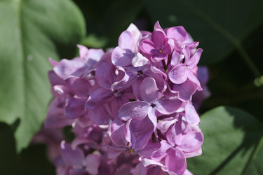 Similar image 1041580