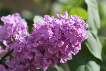 Similar image 1041581