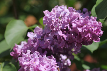 Similar image 1041585