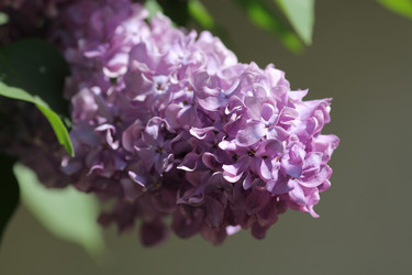 Similar image 1041586