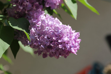 Similar image 1041587