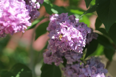 Similar image 1041589