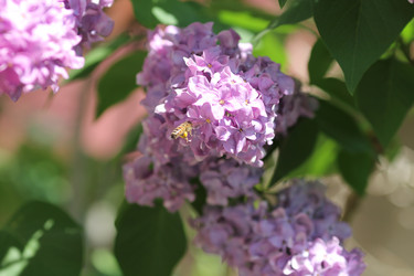 Similar image 1041596