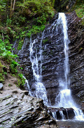 Similar image 1041609