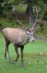 Similar image 1041613