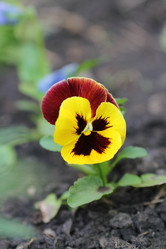 Similar image 1041617