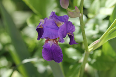 Similar image 1041654