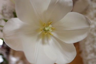 Similar image 1041679