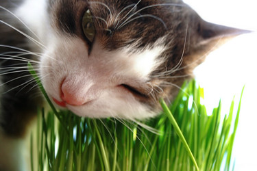 Similar image 1041682