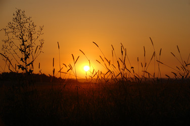 Similar image 1041687