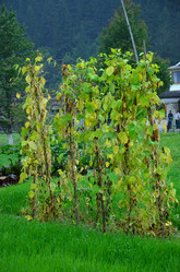 Similar image 1041709