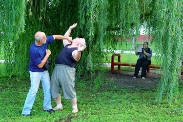 Similar image 1041831