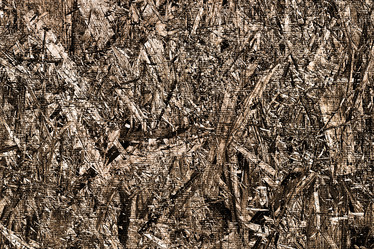 Similar image 1041856