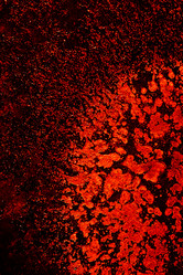 Similar image 1041926