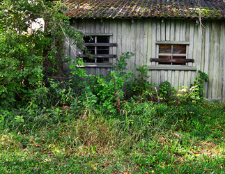 Similar image 1041966