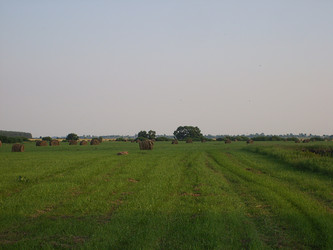 Similar image 1041980