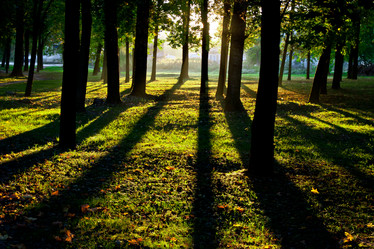 Similar image 1041983