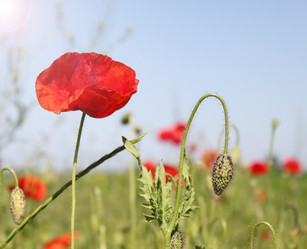 Similar image 1041990