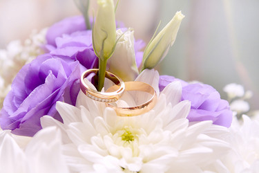 Similar image 1042159