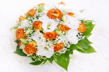 Similar image 1042162