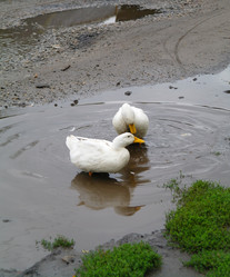 Similar image 1042164