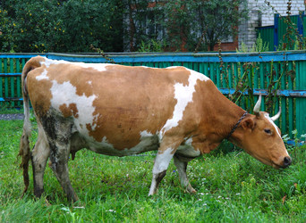 Similar image 1042169