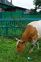 Similar image 1042171