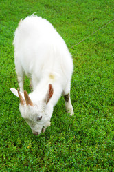 Similar image 1042176