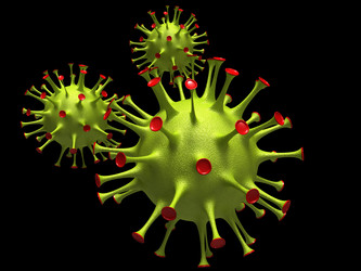 Similar image 1042237