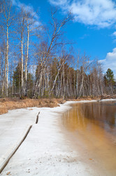 Similar image 1042276