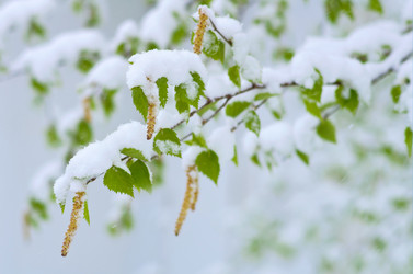 Similar image 1042278