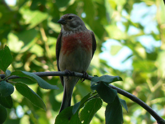 Similar image 1042280