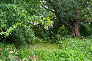 Similar image 1042325