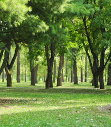 Similar image 1042326