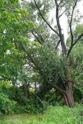 Similar image 1042328