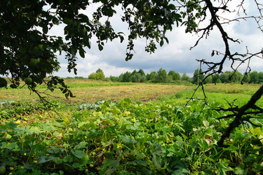 Similar image 1042329