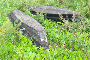 Similar image 1042334