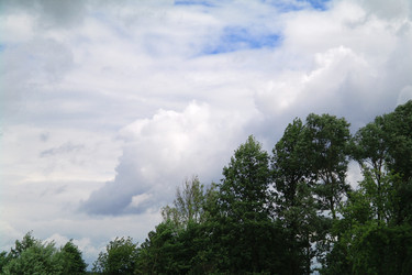 Similar image 1042338