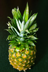 Similar image 1042402