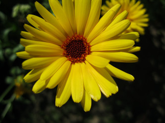 Similar image 1042447