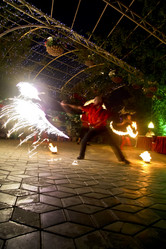 Similar image 1042456