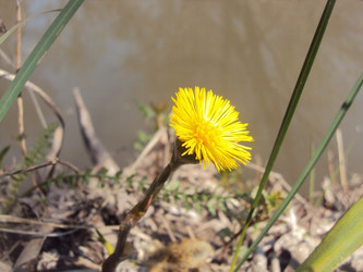 Similar image 1042461