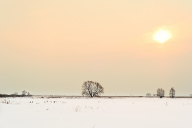 Similar image 1042618