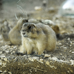 Similar image 1042630