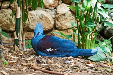 Similar image 1042635