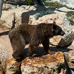 Similar image 1042639